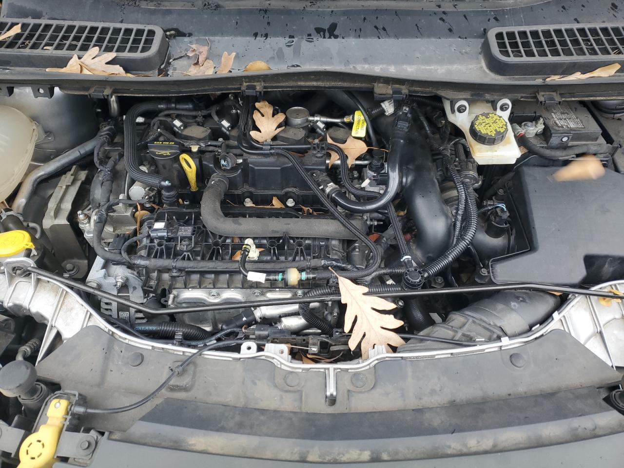 2019 Ford Escape VIN 1FMCU0GD7KUB19665 Copart auction photo, side / front end damage thumbnail 12