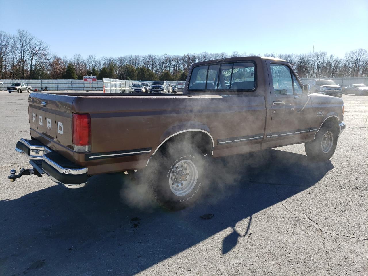 1991 Ford F-150 VIN 1FTDF15Y3MPA14511 Copart auction photo, rear end damage thumbnail 3