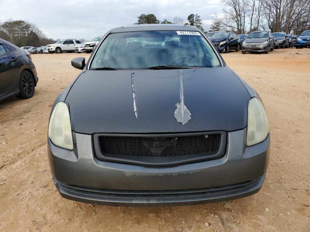 2005 Nissan Maxima VIN 1N4BA41EX5C815700 Copart auction photo, side damage thumbnail 5