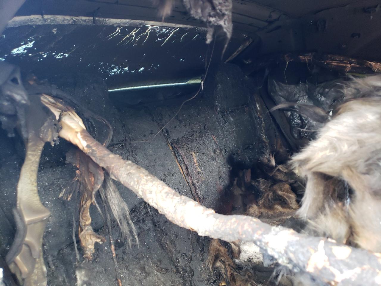 2017 Dodge Challenger VIN 2C3CDZBT0HH568807 Copart auction photo, burn damage thumbnail 10