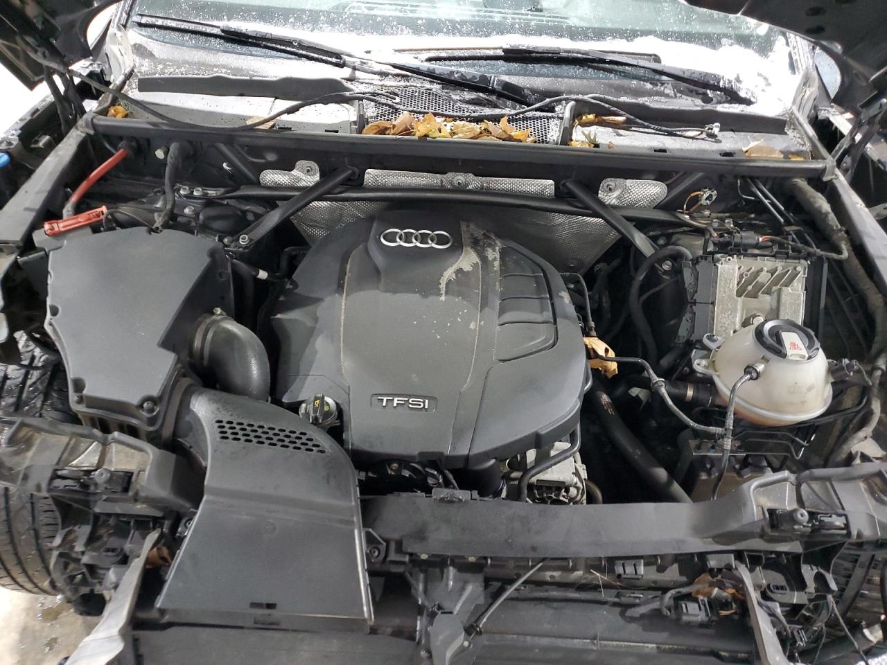 2019 Audi Q5 VIN WA1BNAFY4K2036126 Copart auction photo, rear end / front end damage thumbnail 12