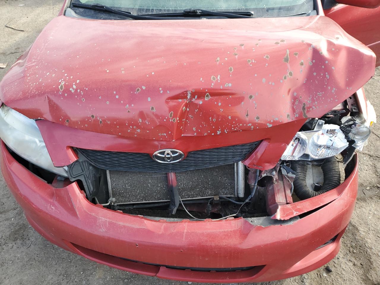 2009 Toyota Corolla VIN 1NXBU40E99Z019745 Copart auction photo, front end / rear end damage thumbnail 12