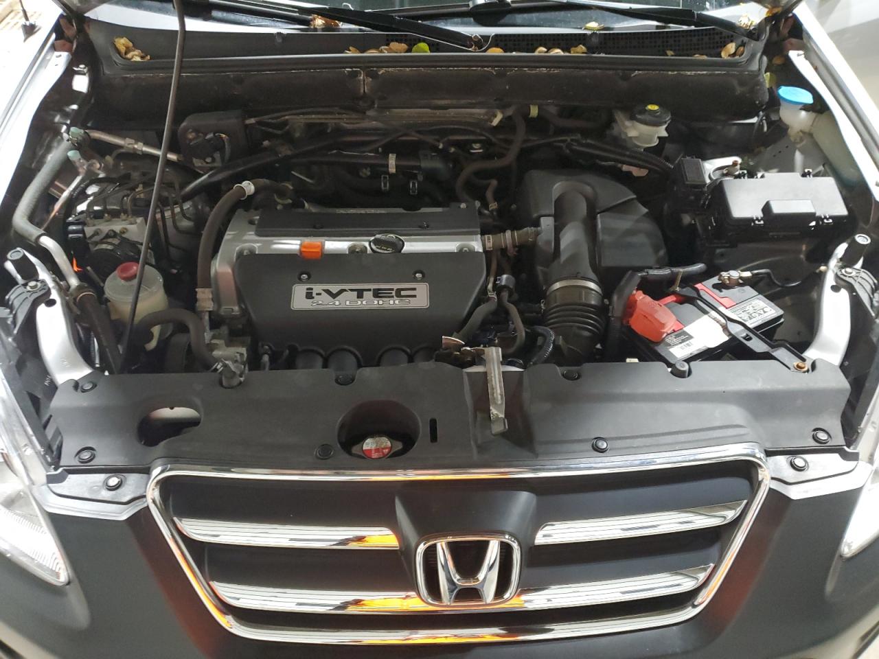 2006 Honda CR-V VIN JHLRD78836C040422 Copart auction photo, rear end / undercarriage damage thumbnail 12