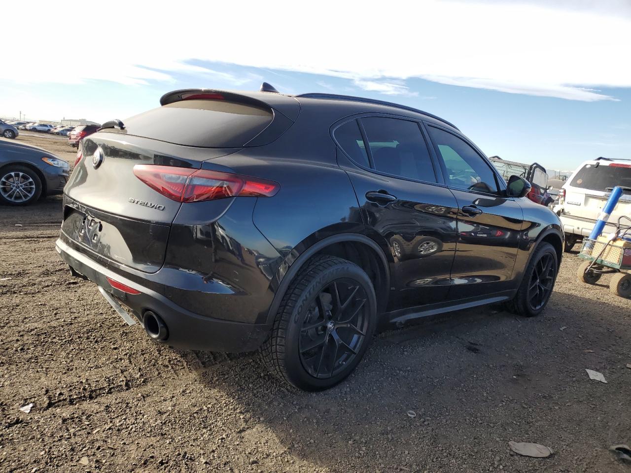 2019 Alfa Romeo Stelvio VIN ZASPAKBN5K7C44261 Copart auction photo, rear end damage thumbnail 3