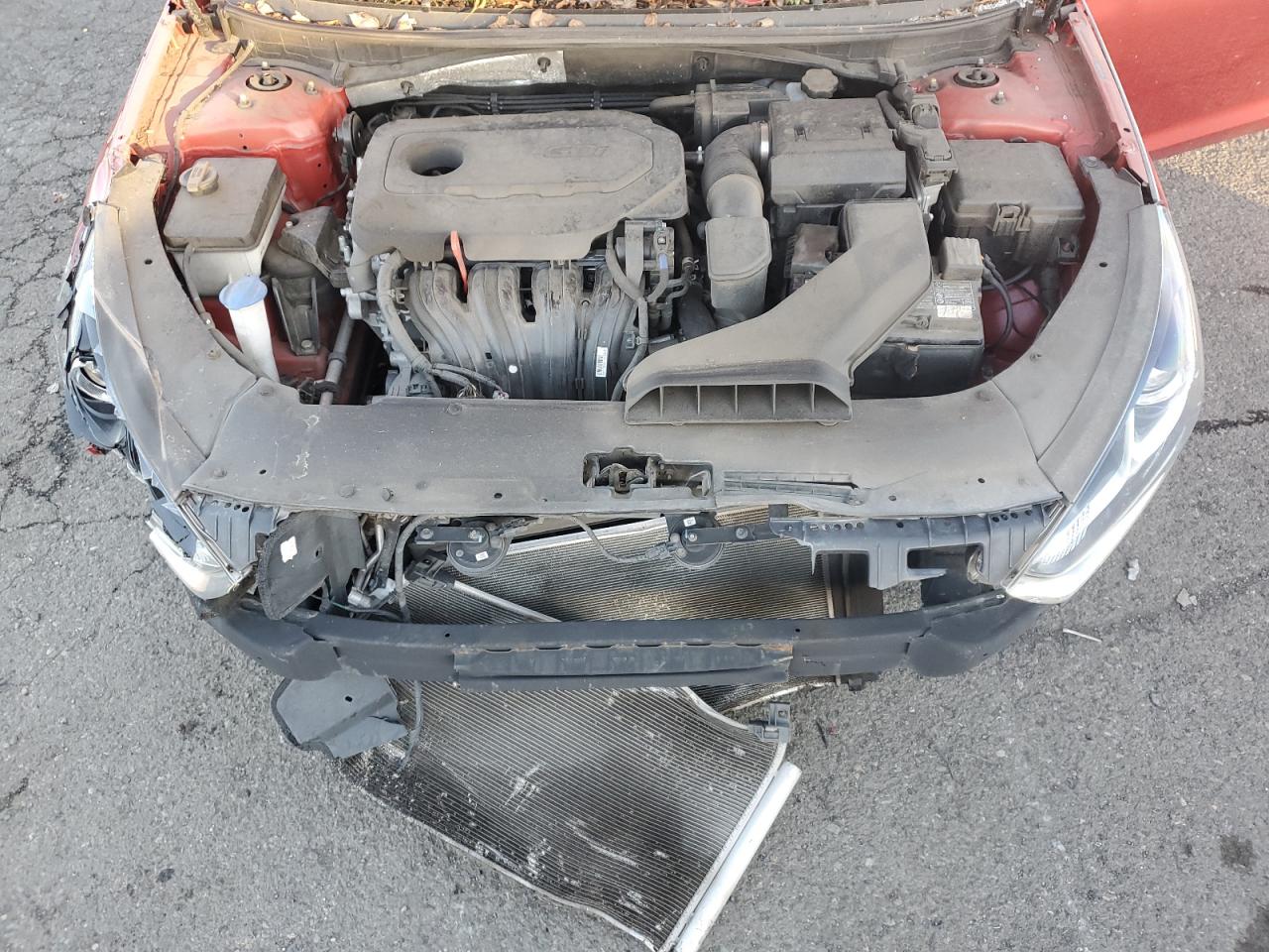 2019 Hyundai Sonata VIN 5NPE34AF3KH820196 Copart auction photo, biohazard/chemical / all over damage thumbnail 11