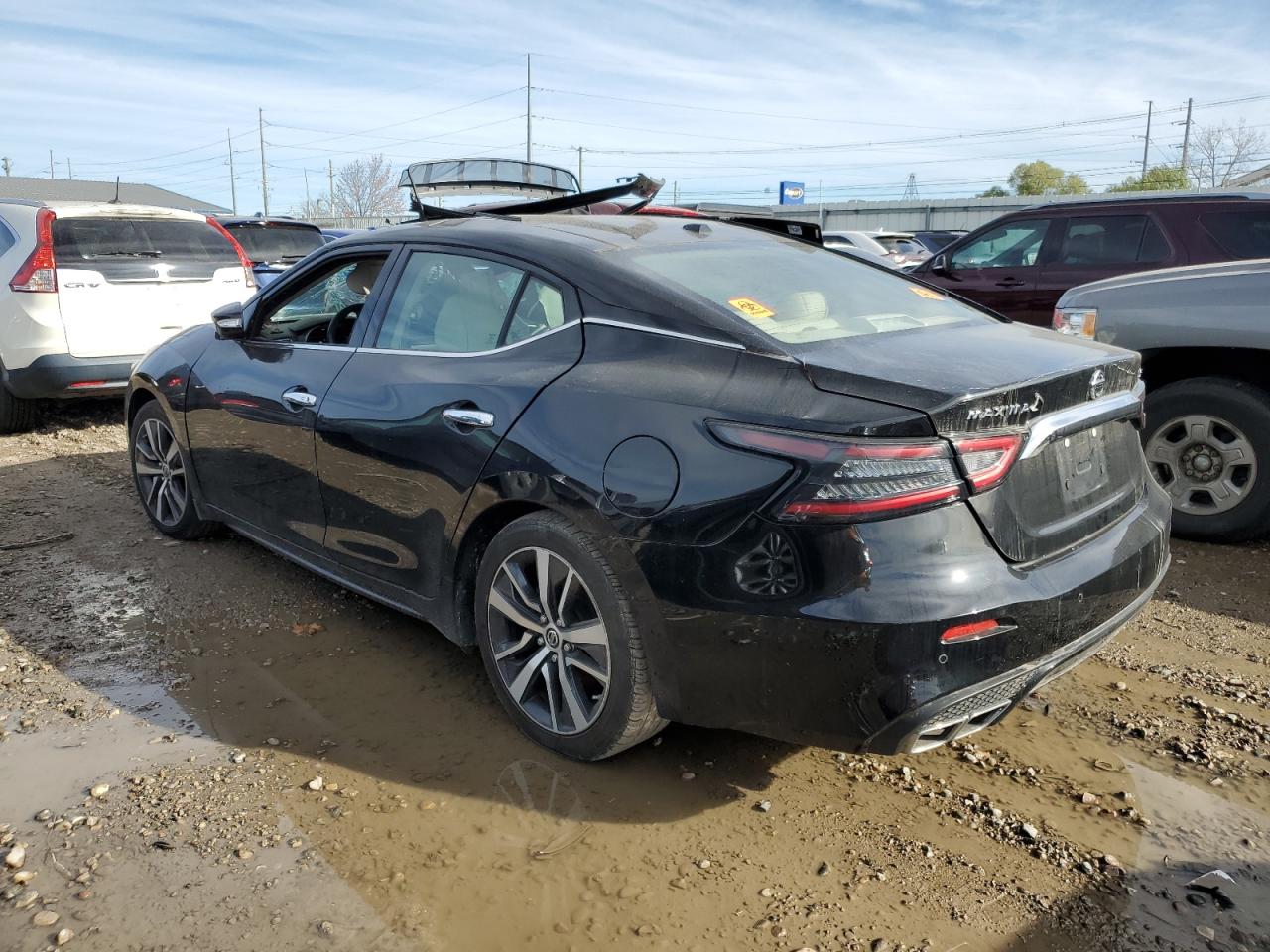 2019 Nissan Maxima VIN 1N4AA6AV1KC361758 Copart auction photo, side / top/roof damage thumbnail 2
