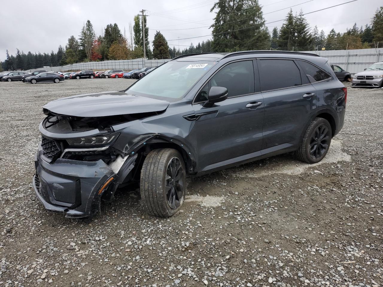 2023 KIA Sorento VIN 5XYRKDLF2PG190686