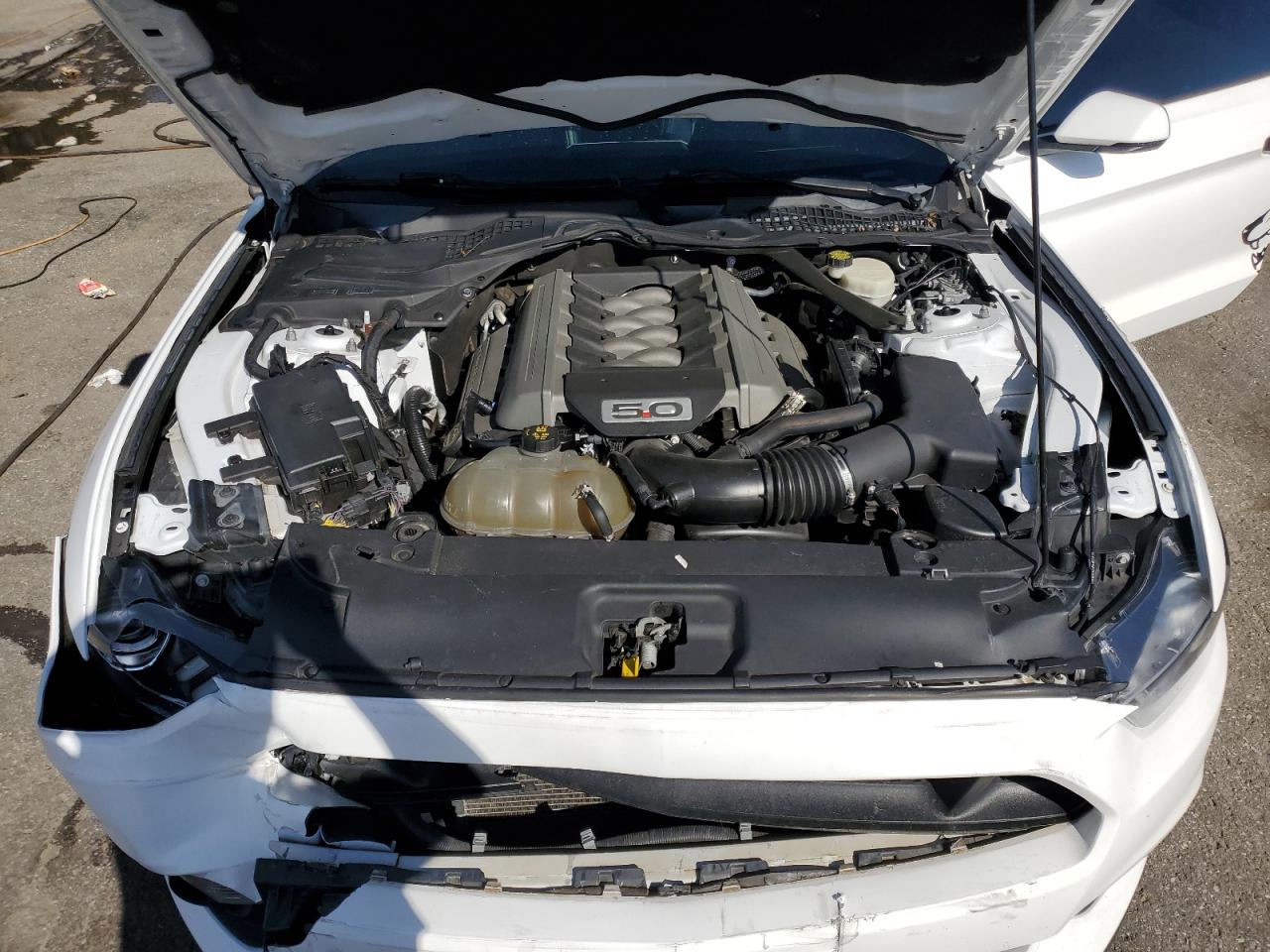 2017 Ford Mustang VIN 1FA6P8CF1H5343036 Copart auction photo, front end / side damage thumbnail 11