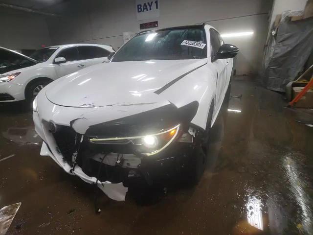 2020 Alfa Romeo Stelvio VIN ZASPAKBN4L7C74496 Copart auction photo, front end damage thumbnail 13