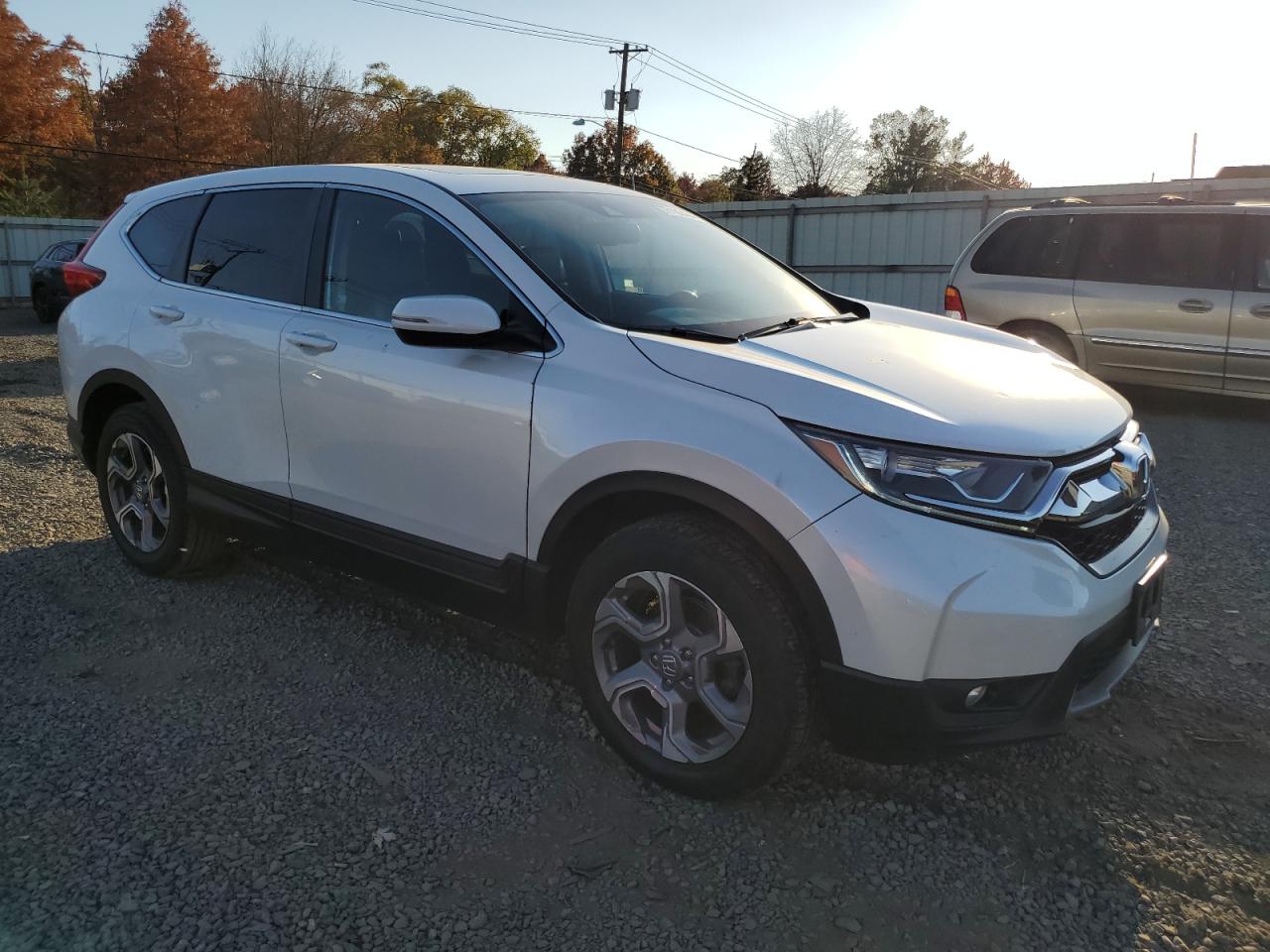 2019 Honda CR-V VIN 7FARW2H80KE064429 Copart auction photo, side damage thumbnail 4