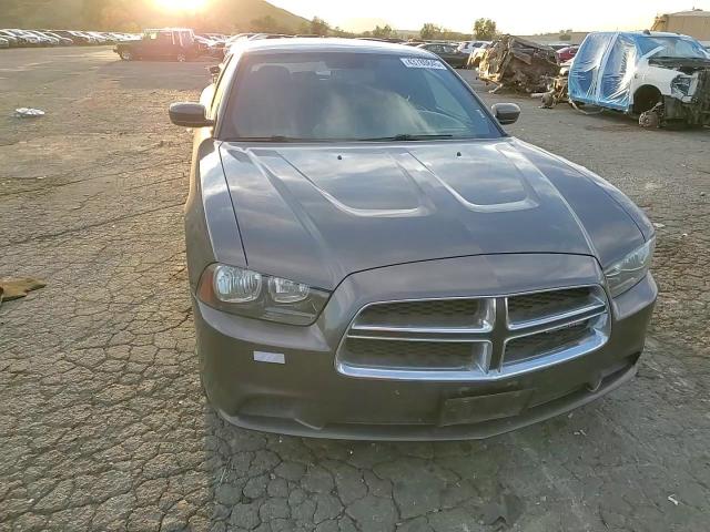 2014 Dodge Charger VIN 2C3CDXBG5EH223498 Copart auction photo, rear end damage thumbnail 11