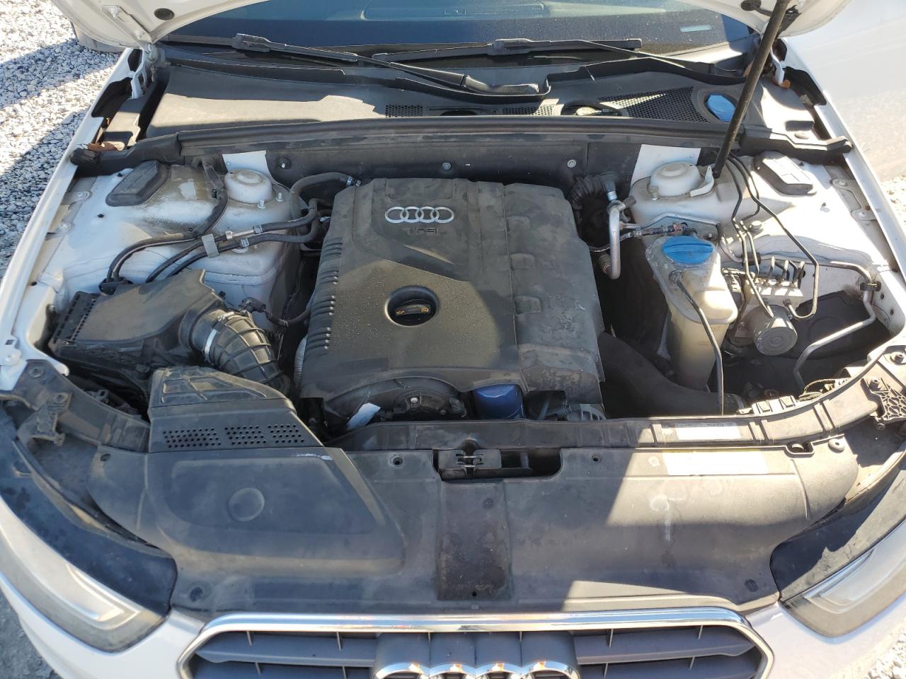 2013 Audi A4 VIN WAUAFAFL3DN042923 Copart auction photo, hail / side damage thumbnail 13