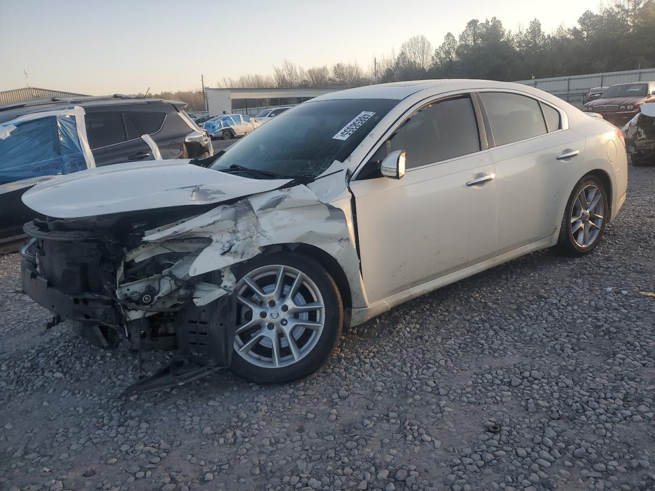2010 Nissan Maxima VIN 1N4AA5APXAC815225