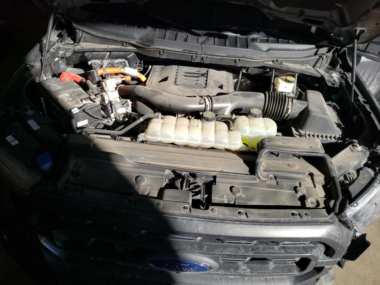 2021 Ford F-150 VIN 1FTFW1ED3MFD01455 Copart auction photo, front end / undercarriage damage thumbnail 11