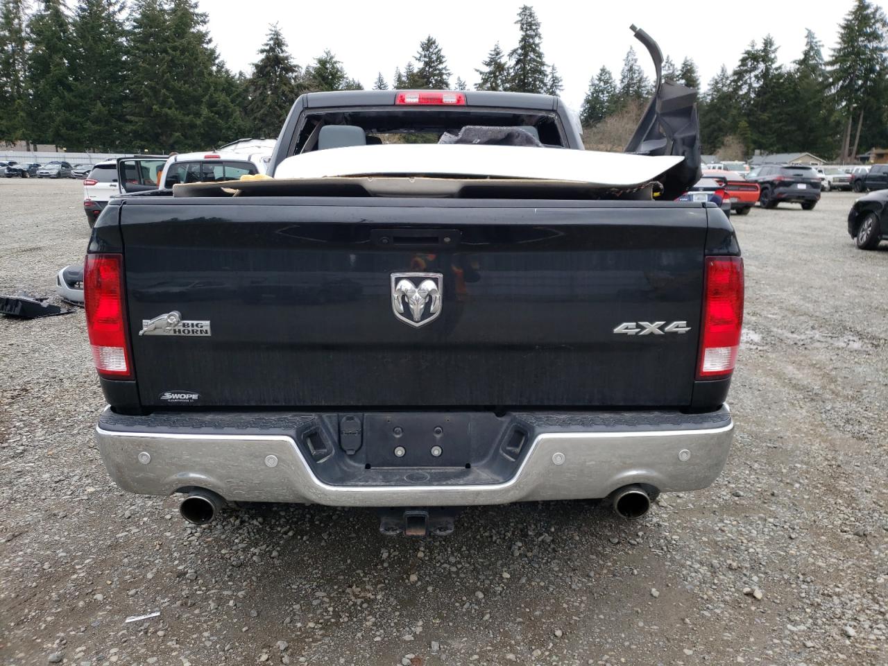2017 RAM 1500 VIN 3C6RR7LT0HG642941 Copart auction photo, hail damage thumbnail 6