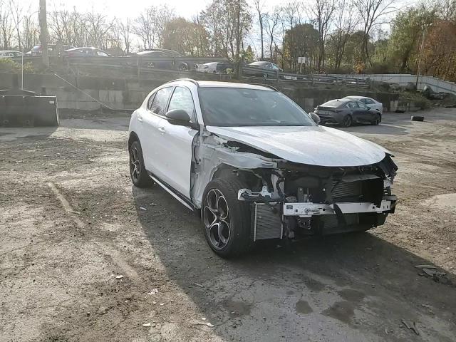 2024 Alfa Romeo Stelvio VIN ZASPAKBN5R7D72610 Copart auction photo, front end / minor dent/scratches damage thumbnail 12