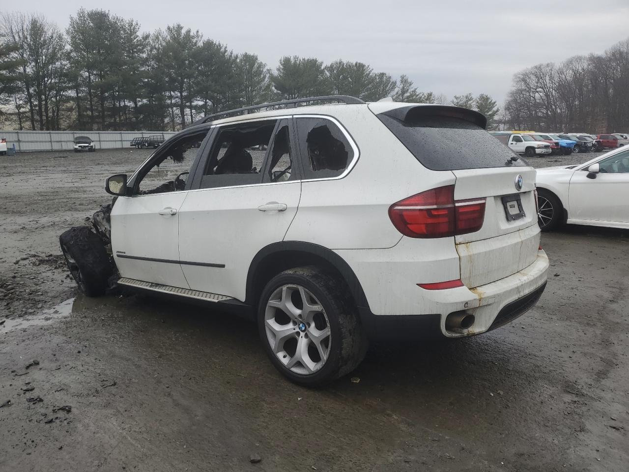 2013 BMW X5 VIN 5UXZV4C58D0E13587 Copart auction photo, burn damage thumbnail 2