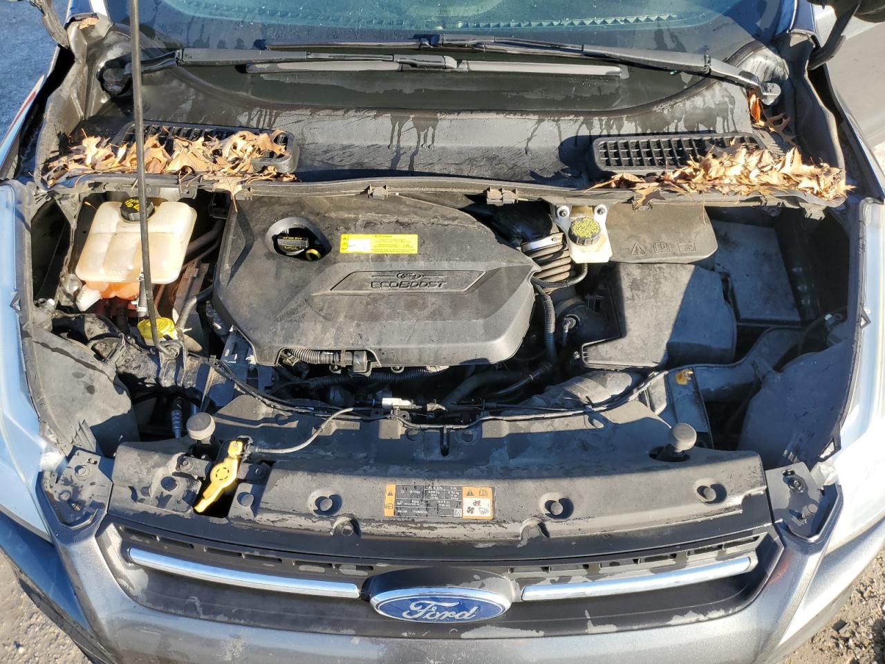 2016 Ford Escape VIN 1FMCU0GX2GUB54244 Copart auction photo, rear end damage thumbnail 12