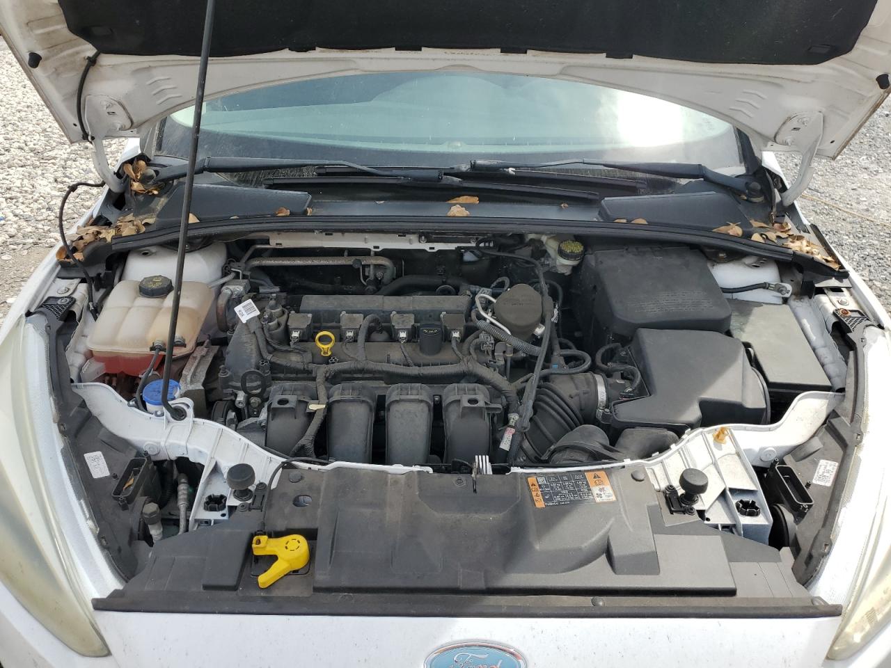 2015 Ford Focus VIN 1FADP3K27FL264052 Copart auction photo, rear end damage thumbnail 11