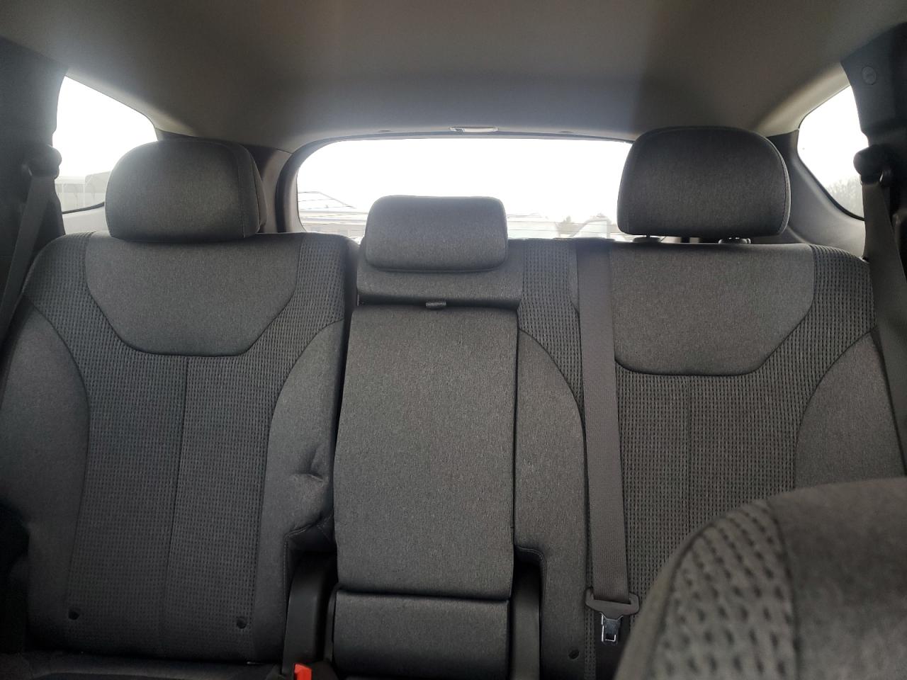 2020 Hyundai Santa Fe VIN 5NMS33AD9LH246973 Copart auction photo, side damage thumbnail 10