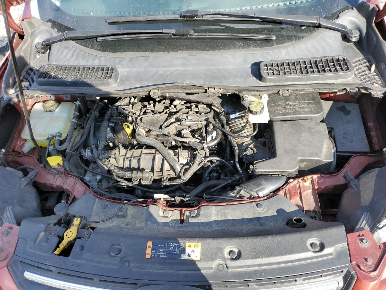 2014 Ford Escape VIN 1FMCU0GX2EUC81752 Copart auction photo, side damage thumbnail 14