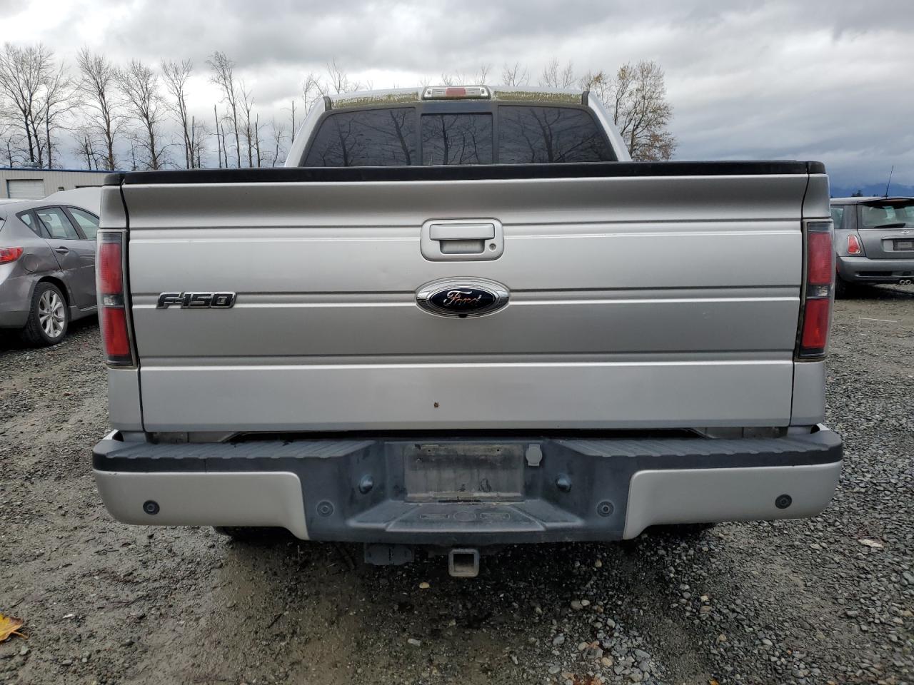 2012 Ford F-150 VIN 1FTFW1ET7CFD02629 Copart auction photo, side damage thumbnail 6