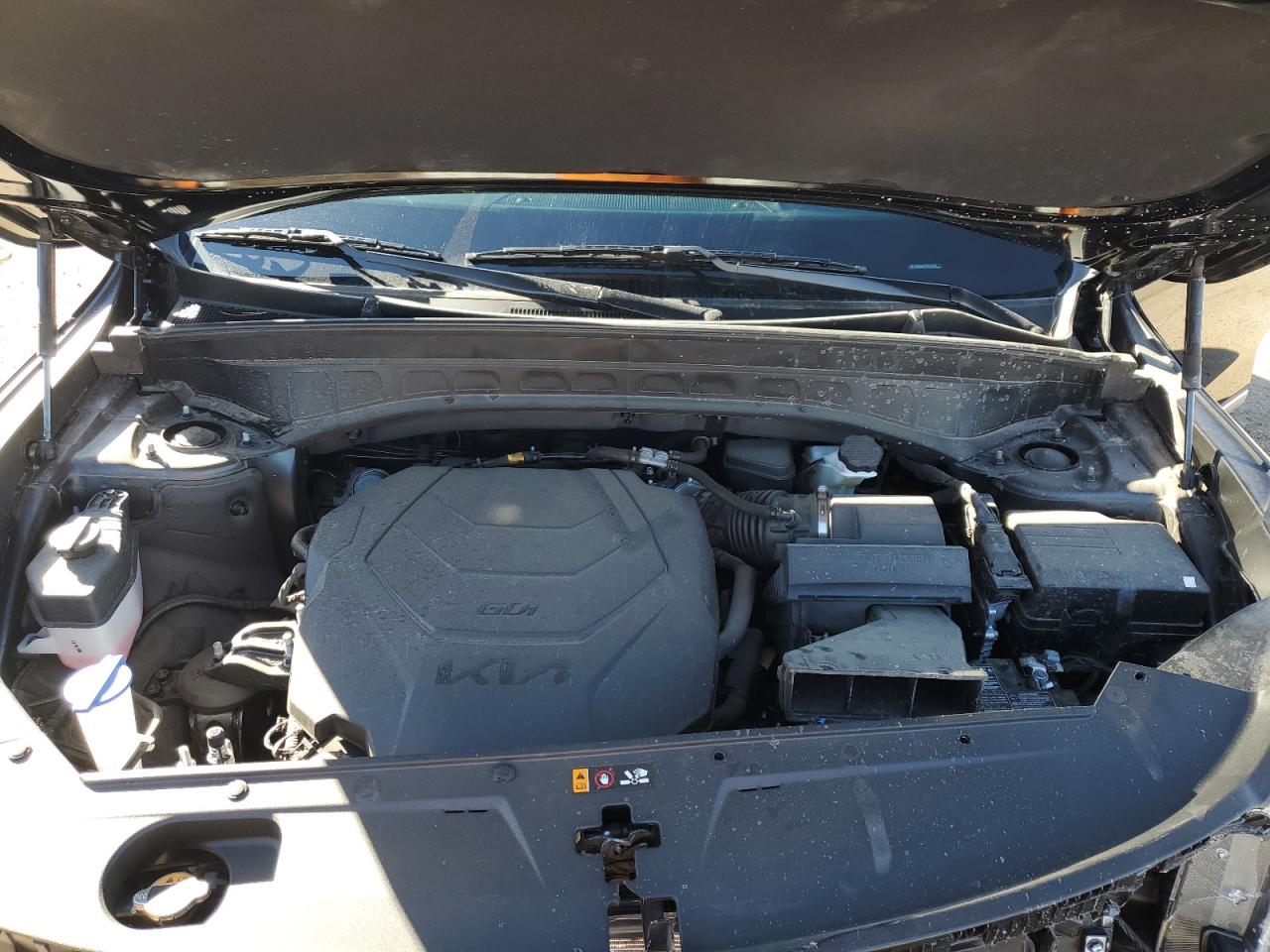 2023 KIA Telluride VIN 5XYP6DGC4PG385832 Copart auction photo, front end damage thumbnail 12