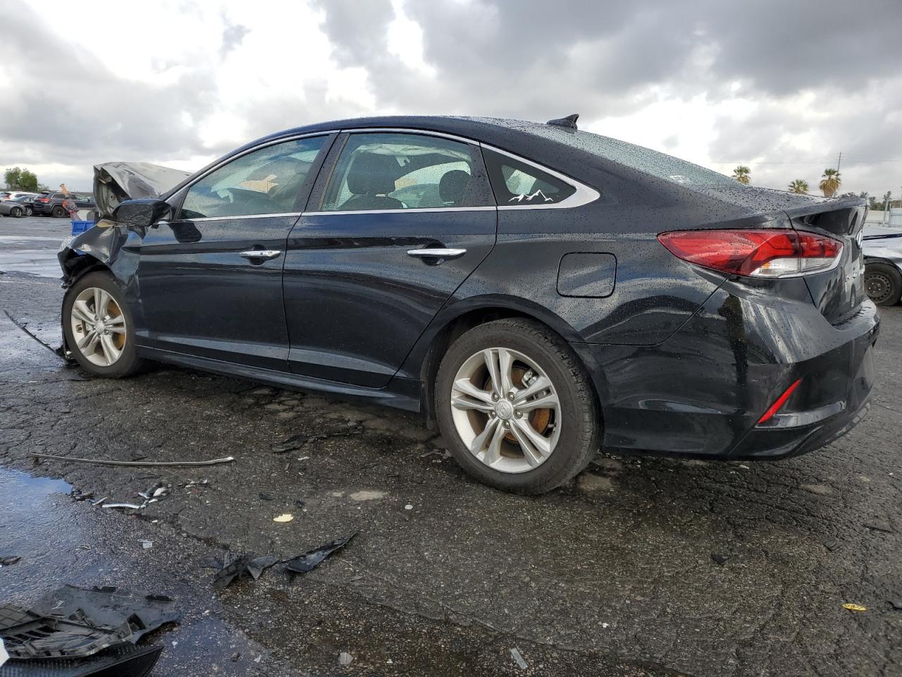 2019 Hyundai Sonata VIN 5NPE34AF8KH743485 Copart auction photo, burn damage thumbnail 2