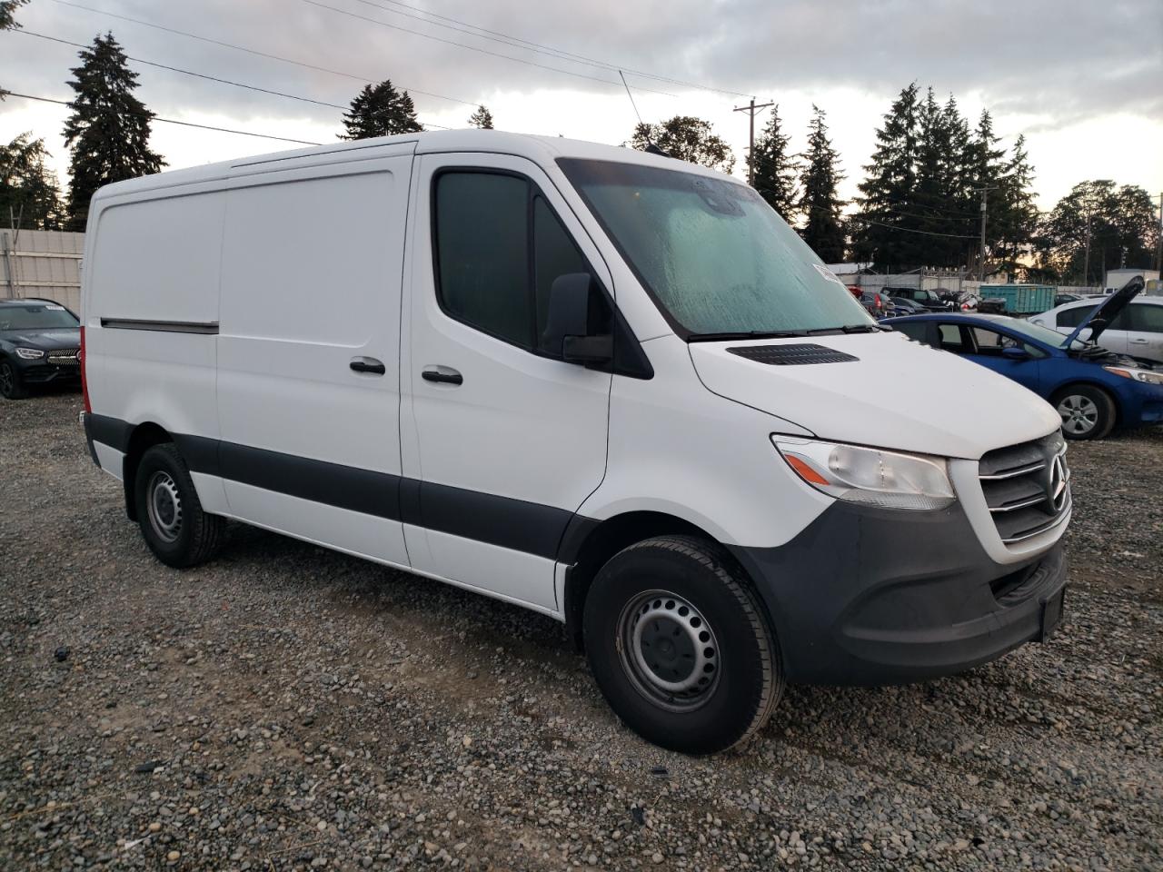 2019 Mercedes-Benz Sprinter VIN WD4PF0CD2KT000441 Copart auction photo, side / rear end damage thumbnail 4