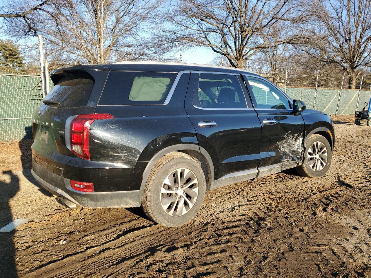 2020 Hyundai Palisade VIN KM8R2DHE8LU036438 Copart auction photo, side / undercarriage damage thumbnail 3