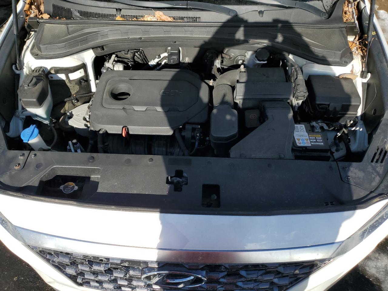 2019 Hyundai Santa Fe VIN 5NMS3CAD0KH012042 Copart auction photo, side damage thumbnail 12