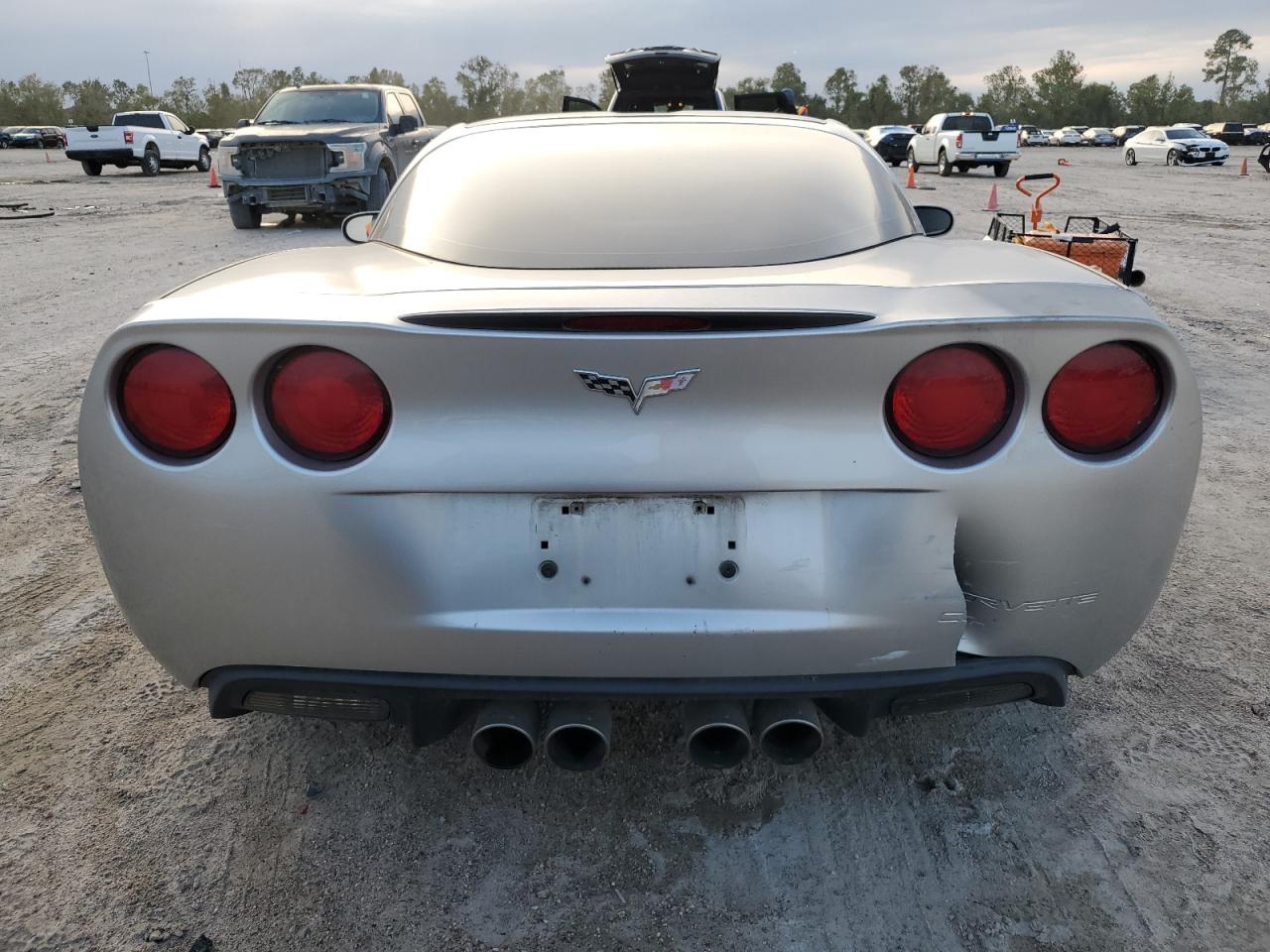 2005 Chevrolet Corvette VIN 1G1YY24U955118376 Copart auction photo, side / rear end damage thumbnail 6