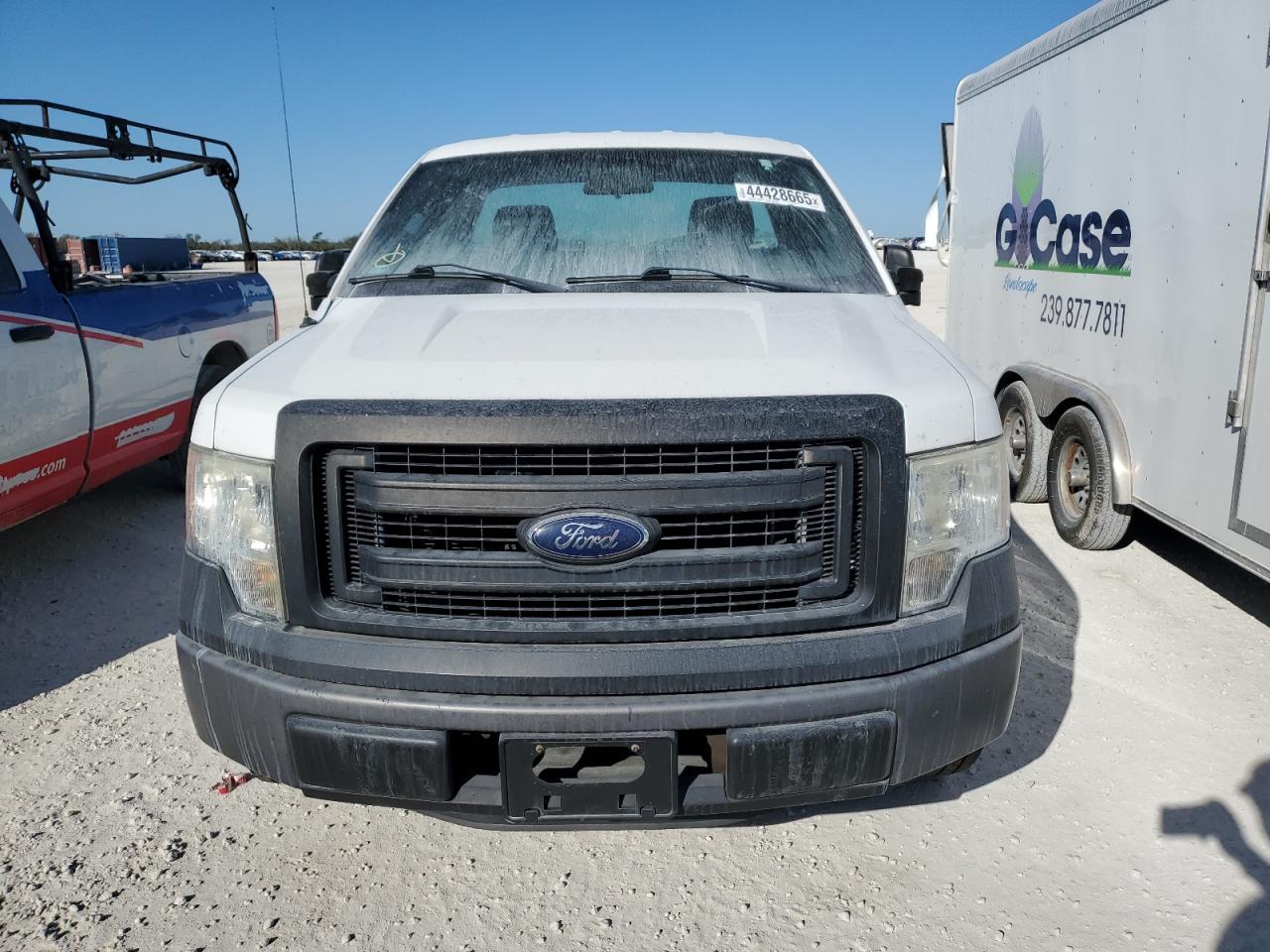 2013 Ford F-150 VIN 1FTMF1CM5DKG19160 Copart auction photo, side damage thumbnail 5