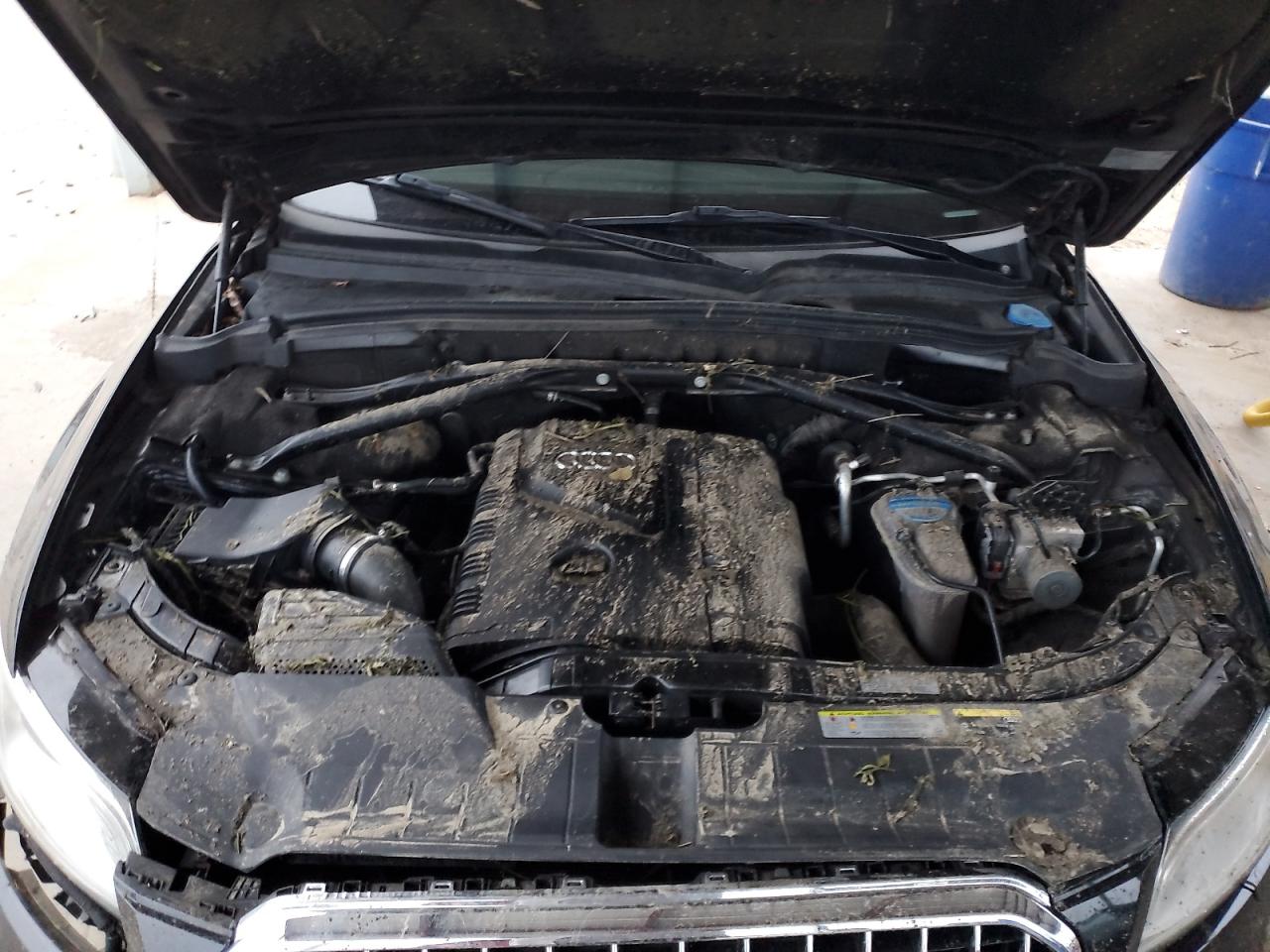 2014 Audi Q5 VIN WA1LFAFP4EA123270 Copart auction photo, water/flood / front end damage thumbnail 11