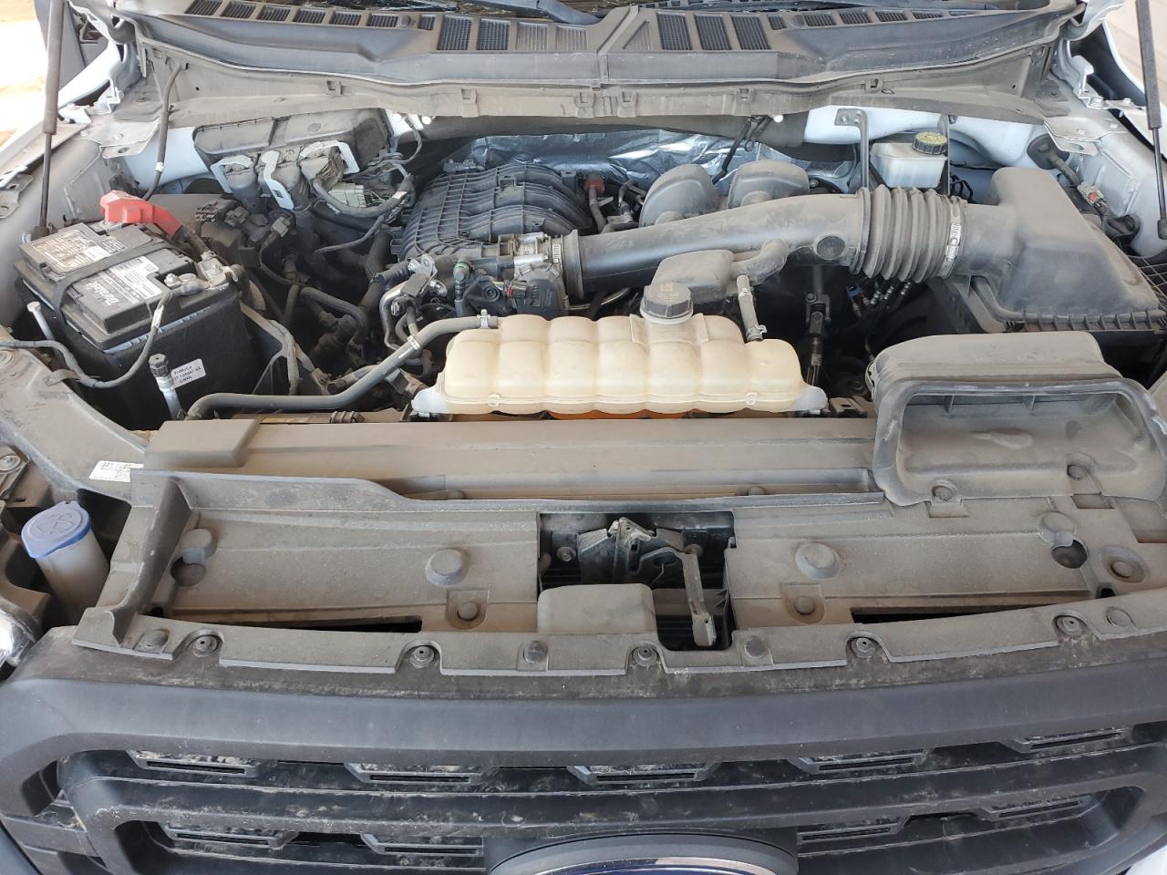 2019 Ford F-150 VIN 1FTMF1CB3MKD04985 Copart auction photo, side damage thumbnail 13