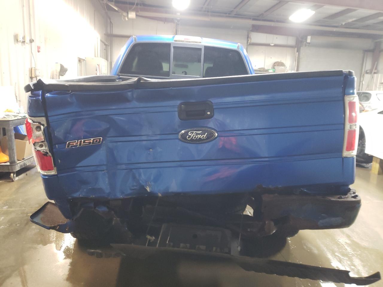 2010 Ford F-150 VIN 1FTEX1E89AFB43419 Copart auction photo, rear end damage thumbnail 6