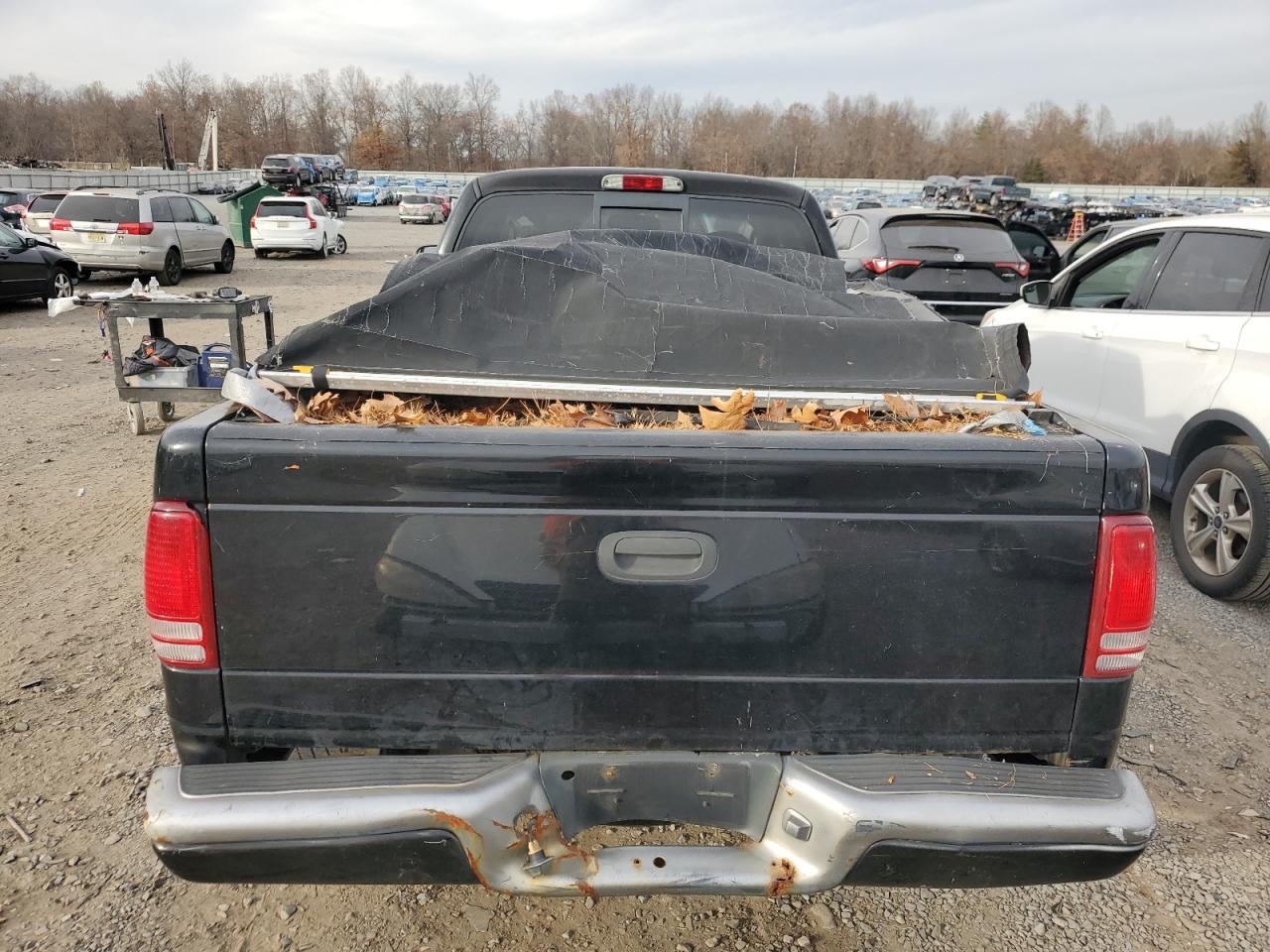 2003 Dodge Dakota VIN 1D7HG32X93S273172 Copart auction photo, minor dent/scratches damage thumbnail 6