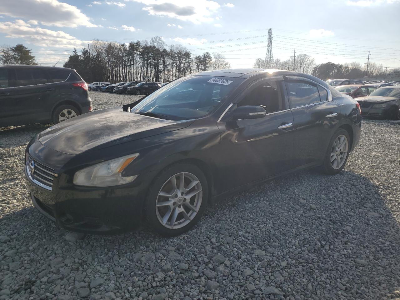 2010 Nissan Maxima VIN 1N4AA5AP3AC857820
