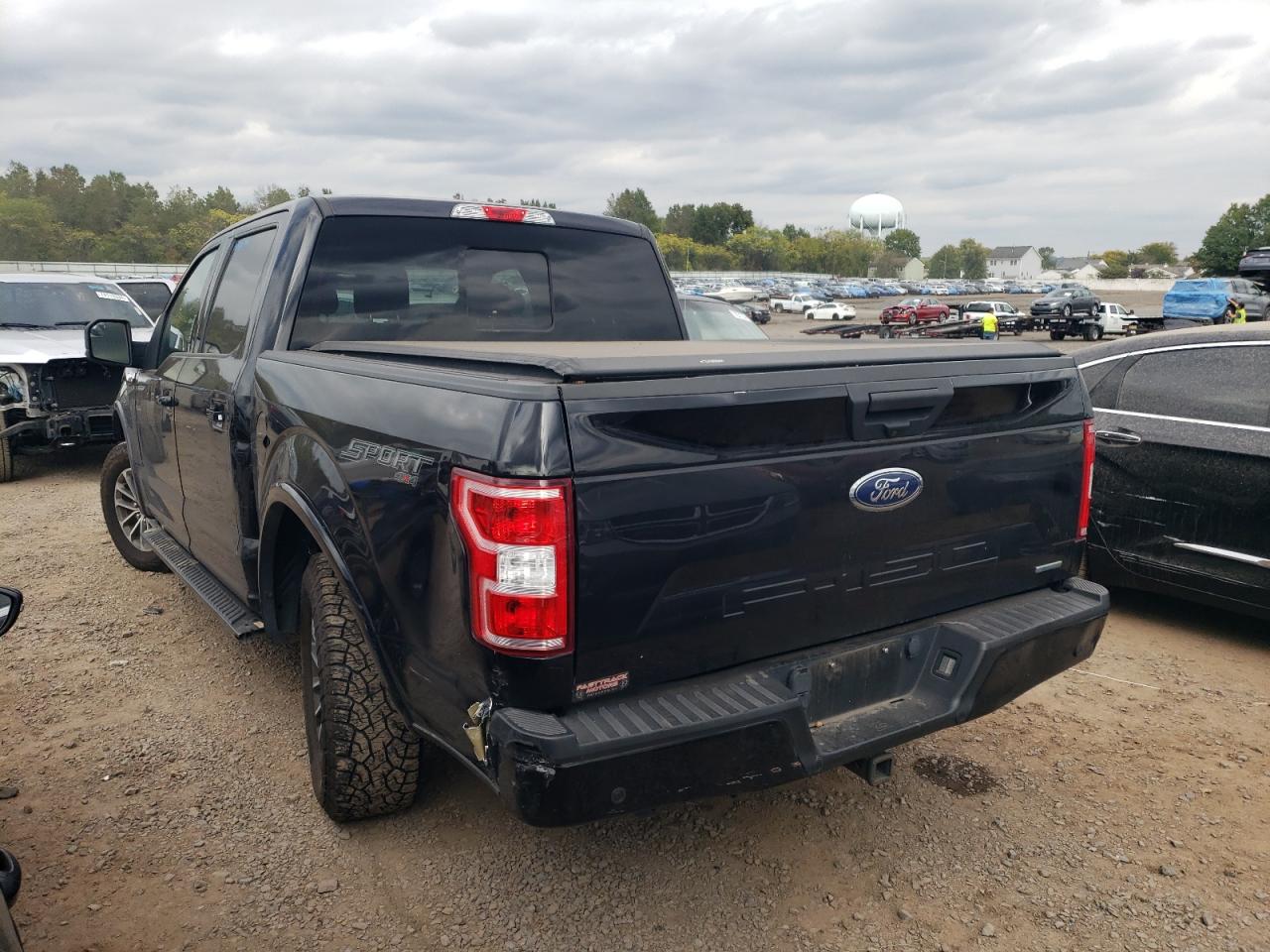 2020 Ford F-150 VIN 1FTEW1EP3LKD63420 Copart auction photo, rear end / side damage thumbnail 2