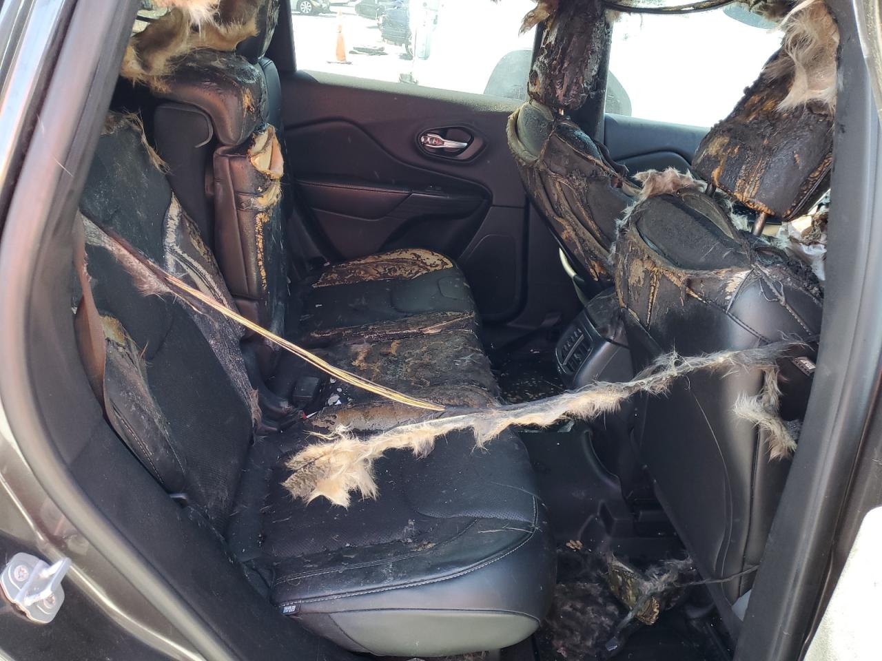 2015 Jeep Grand Cherokee VIN 1C4PJLDB1FW732779 Copart auction photo, front end / burn damage thumbnail 11