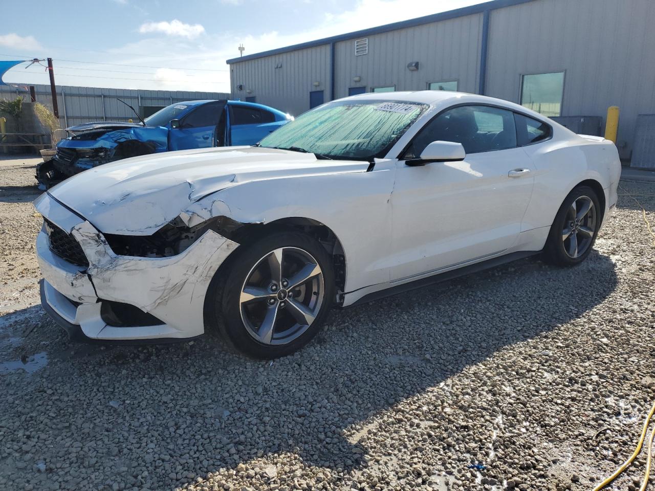 2015 Ford Mustang VIN 1FA6P8AM5F5356502