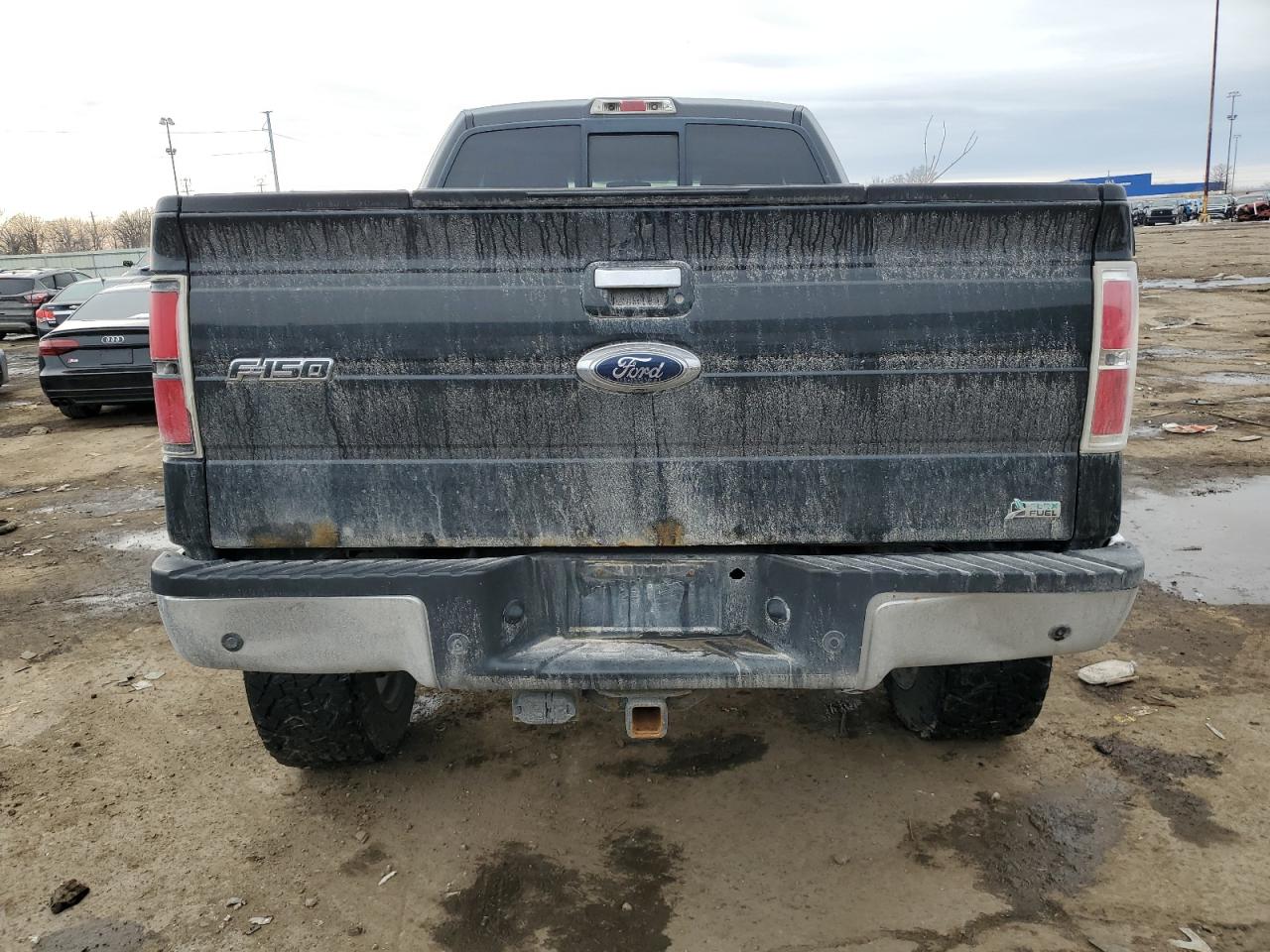 2010 Ford F-150 VIN 1FTFX1EV4AFC93786 Copart auction photo, rear end damage thumbnail 6