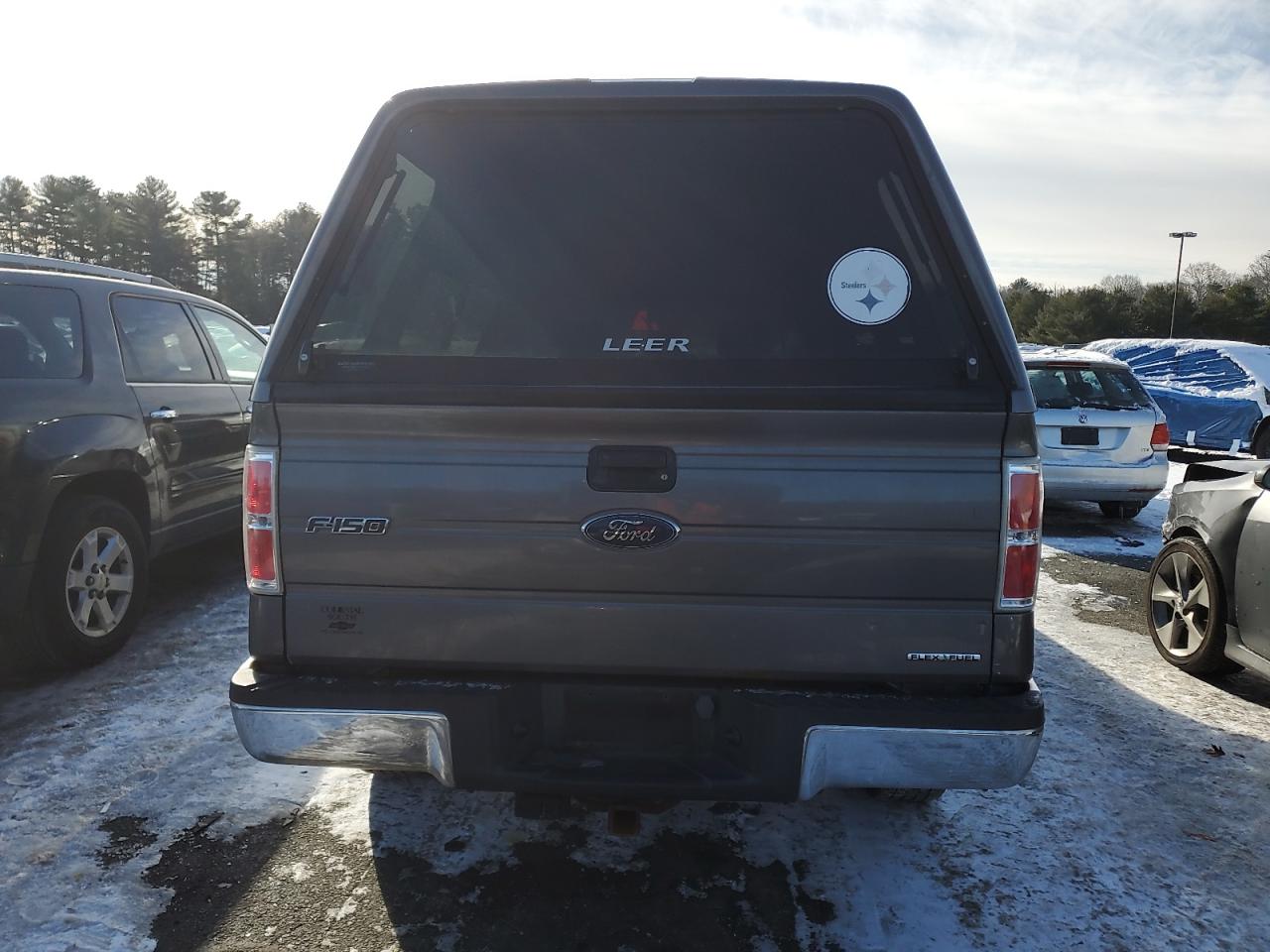 2013 Ford F-150 VIN 1FTMF1CM4DKF75538 Copart auction photo, side / minor dent/scratches damage thumbnail 6