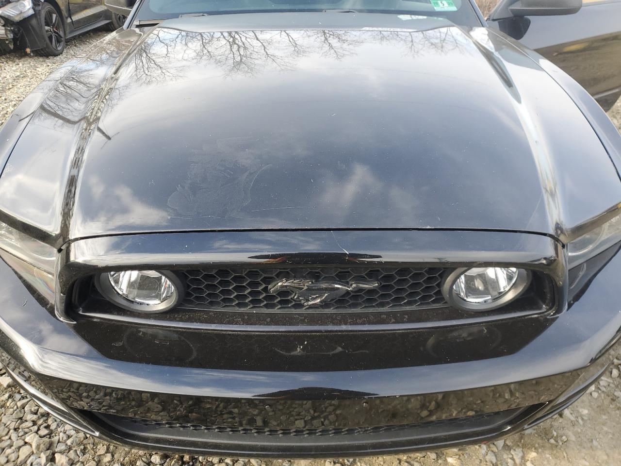 2014 Ford Mustang VIN 1ZVBP8AM2E5202317 Copart auction photo, rear end damage thumbnail 12