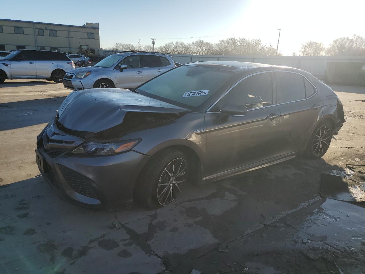 2021 Toyota Camry VIN 4T1S31AK5MU559219