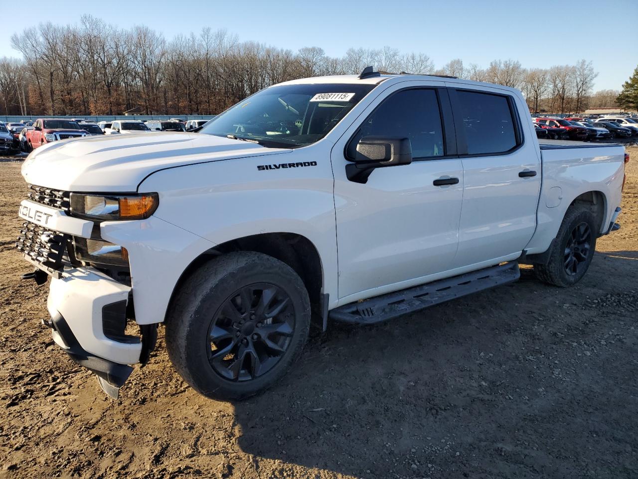 2020 Chevrolet Silverado VIN 3GCPWBEH5LG198307