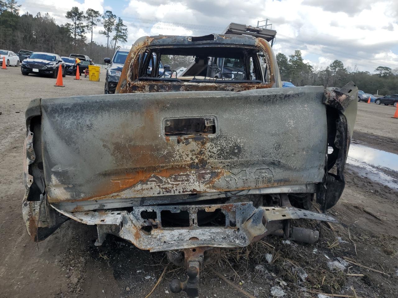 2020 Toyota Tacoma VIN 3TMCZ5AN8LM367921 Copart auction photo, burn damage thumbnail 6