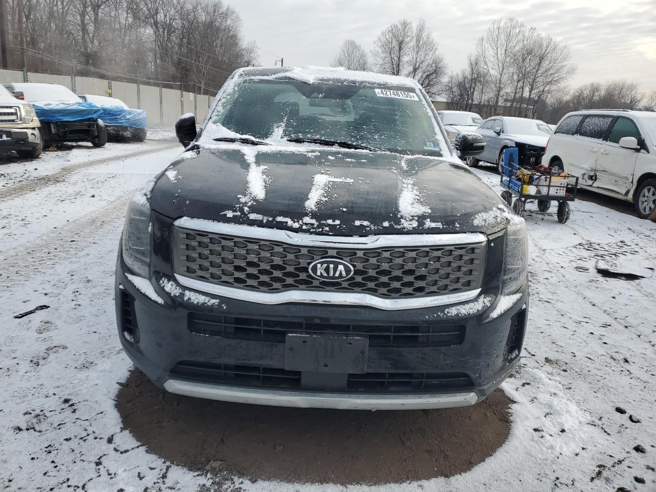 2020 KIA Telluride VIN 5XYP2DHC0LG036221 Copart auction photo, rear end damage thumbnail 5