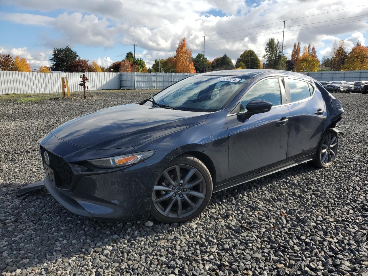 2019 Mazda 3 VIN JM1BPAMM5K1133714