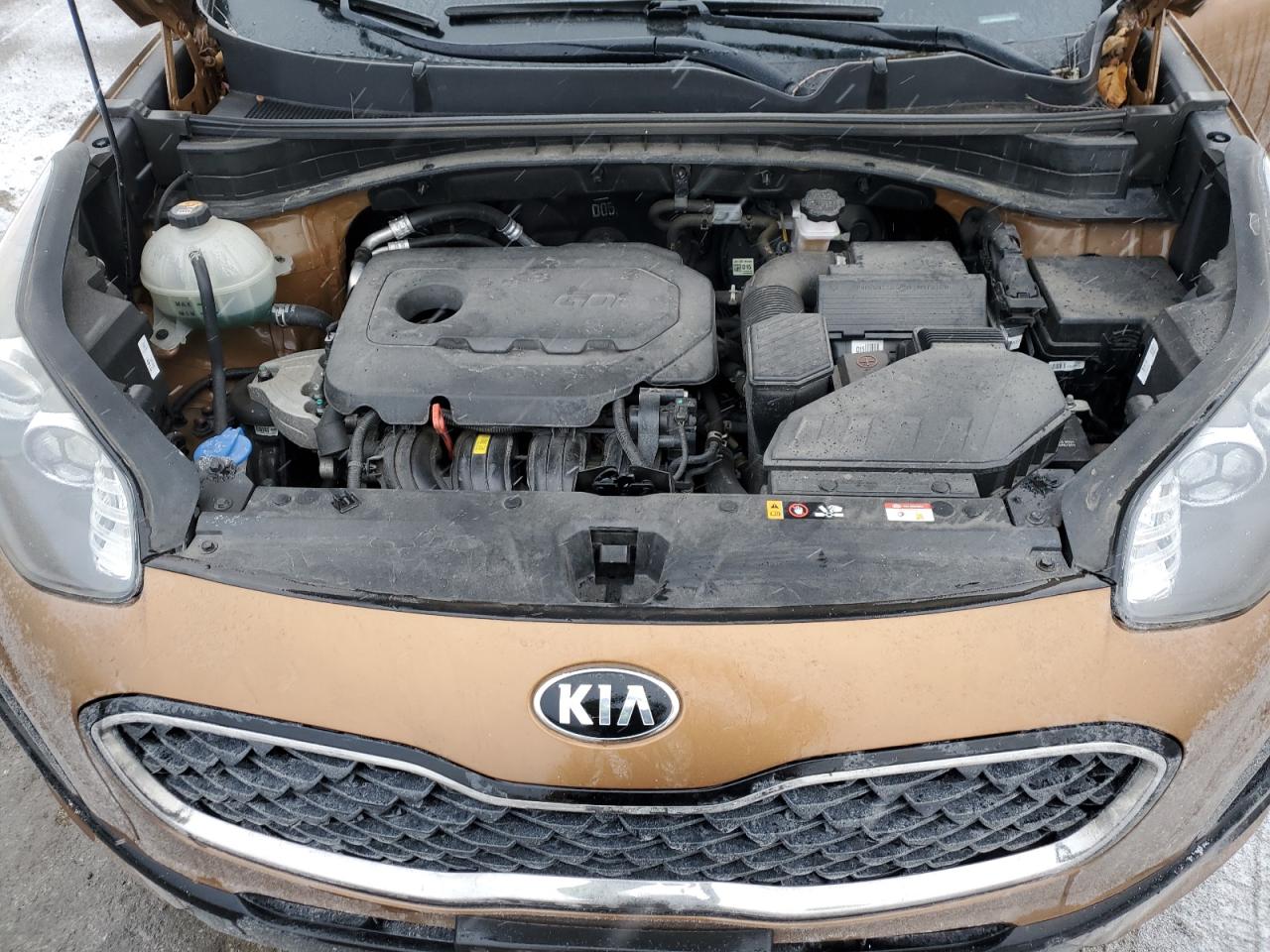 2020 KIA Sportage VIN KNDPMCAC6L7815831 Copart auction photo, rear end / minor dent/scratches damage thumbnail 12